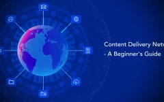 Content Delivery Network